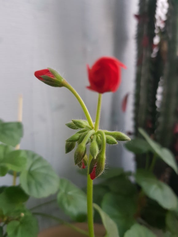 거목상사 이미지