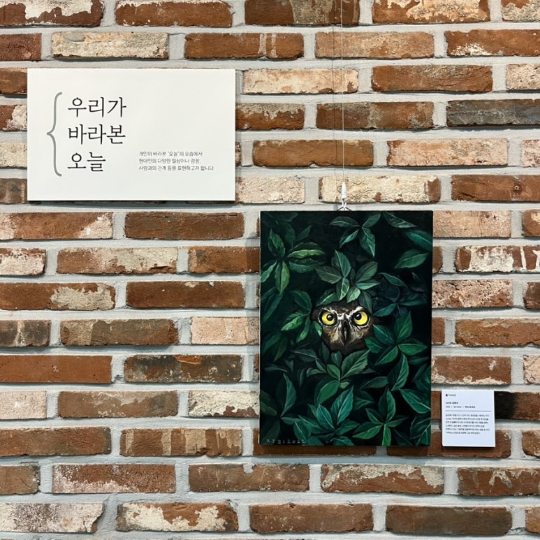 부엉이숲 이미지