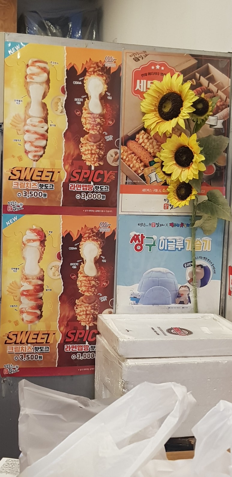 명랑순두부 이미지