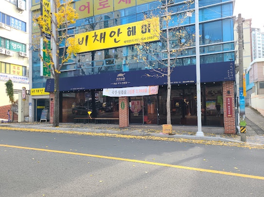 거북이동네 이미지