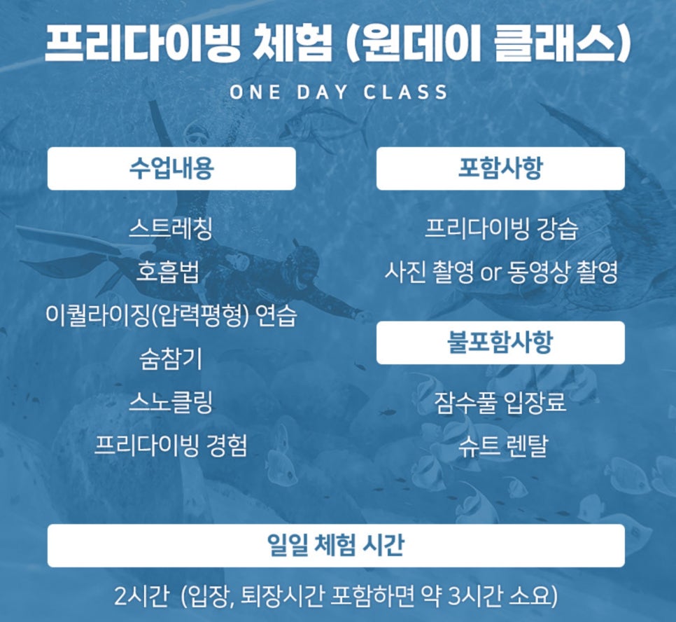 바루나프리다이빙 이미지