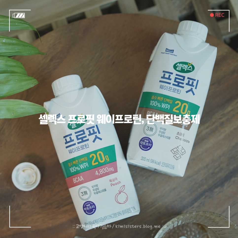 매일헬스뉴트리션 주식회사 이미지