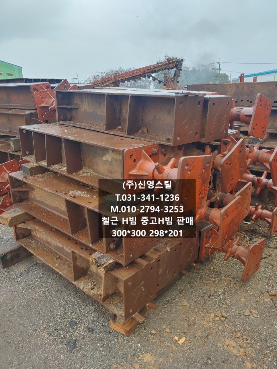 단빔 이미지
