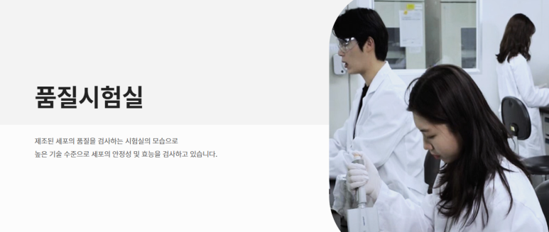 에이치엘피 이미지