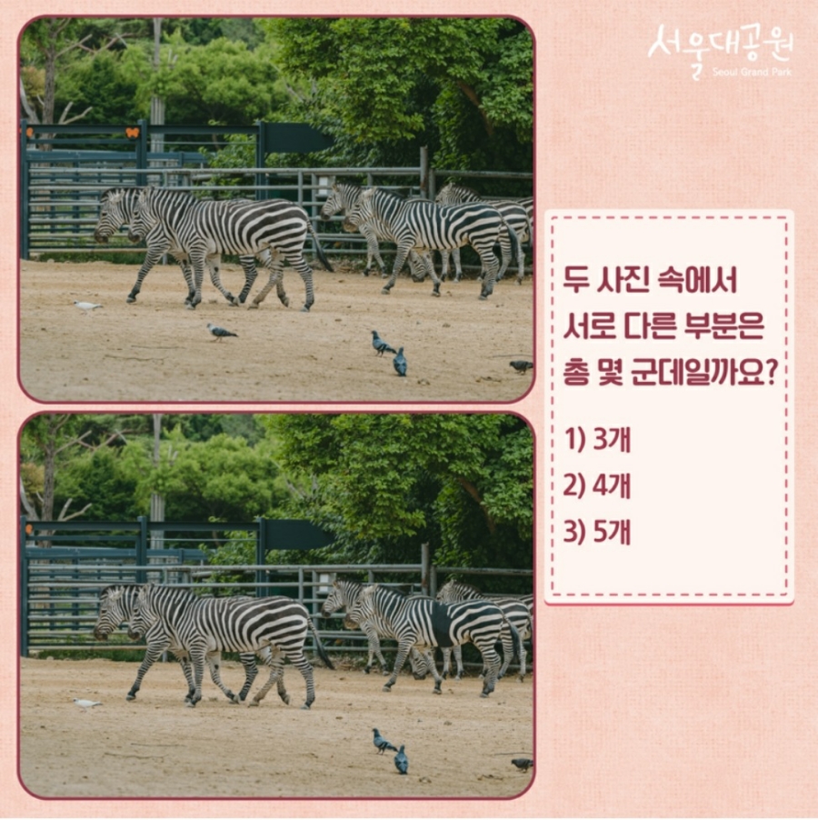 숨은커피찾기 이미지