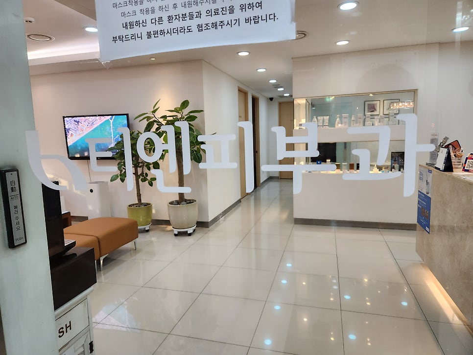 티엔피주 이미지