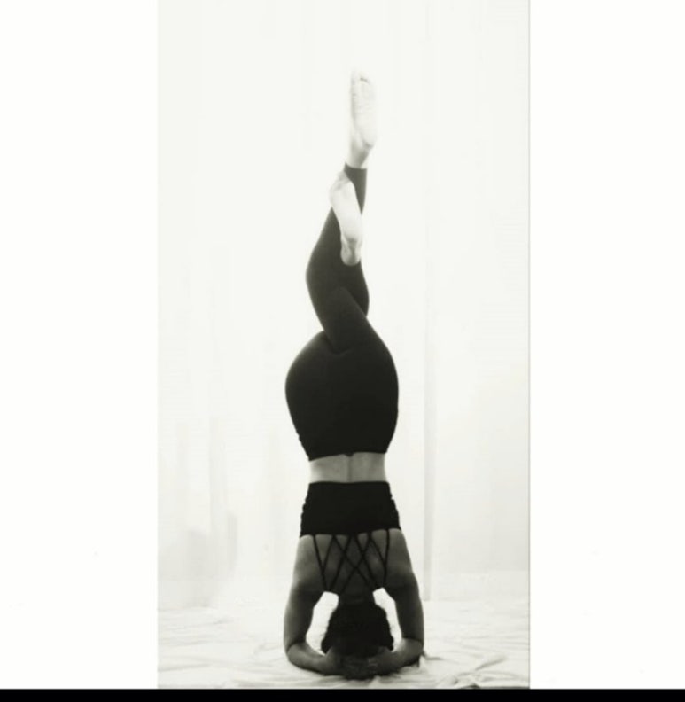 지니트리 이미지
