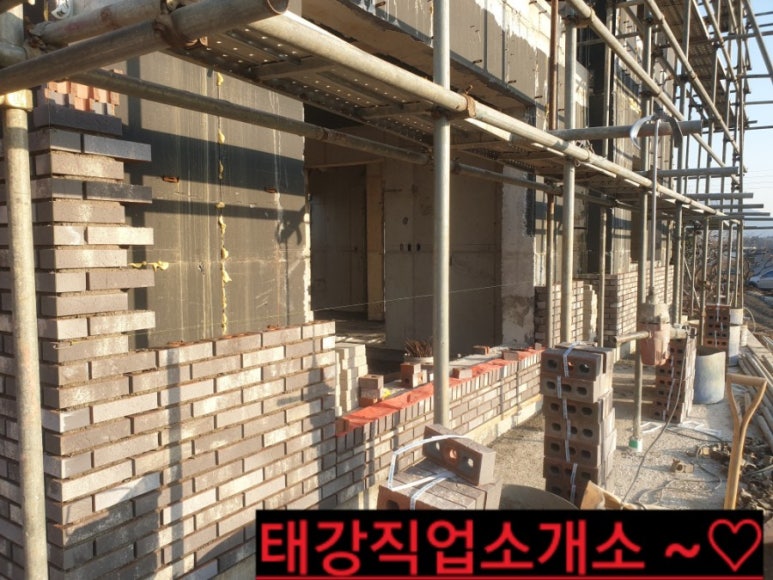 칼라직업소개소 이미지
