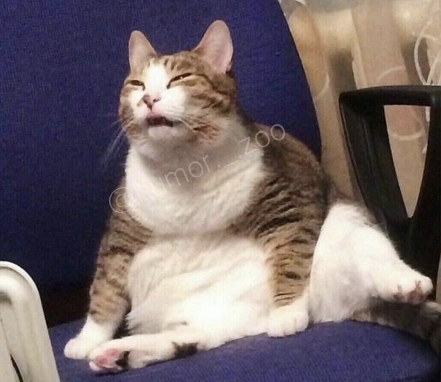 고카인 이미지