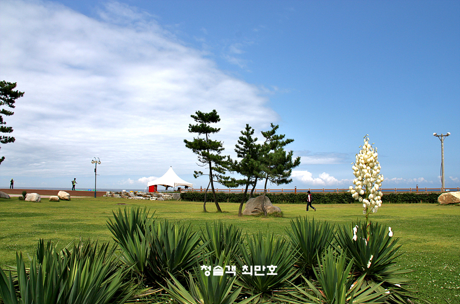 Mangsang Auto Camping Resort