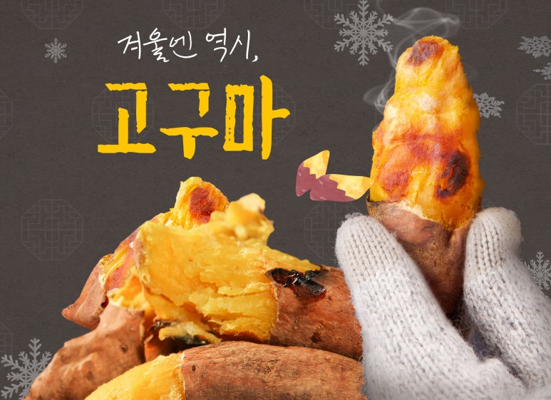 기문가야문화선양회 이미지