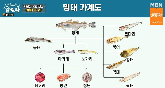 명태한상 이미지