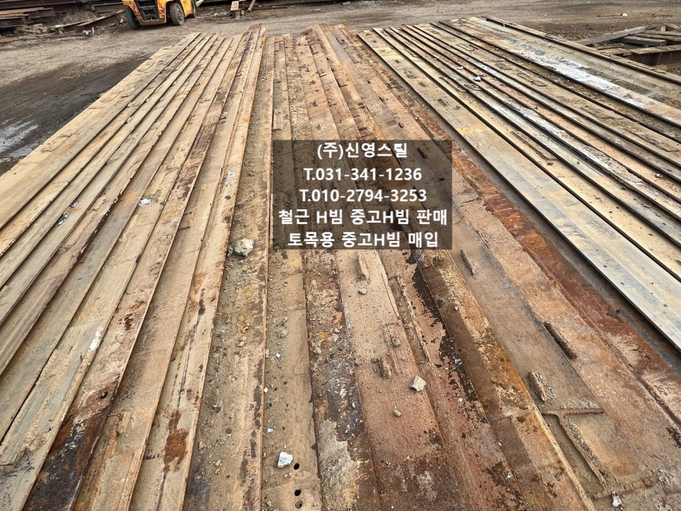 단빔 이미지