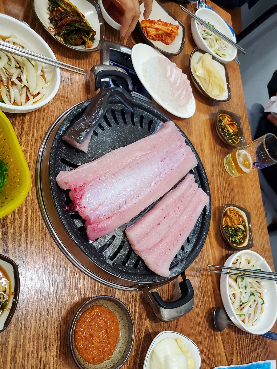 노형바다장어 이미지