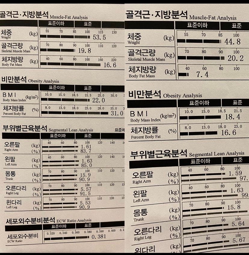 빅브로짐휘트니스 이미지