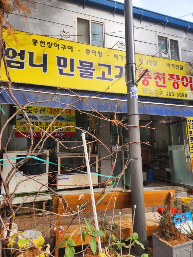엄니민물고기 이미지