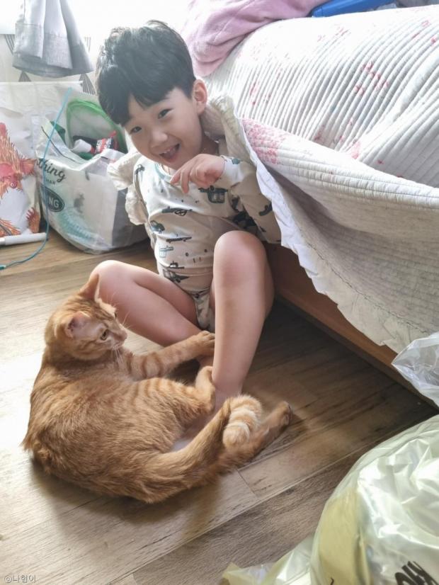 그린생선 이미지