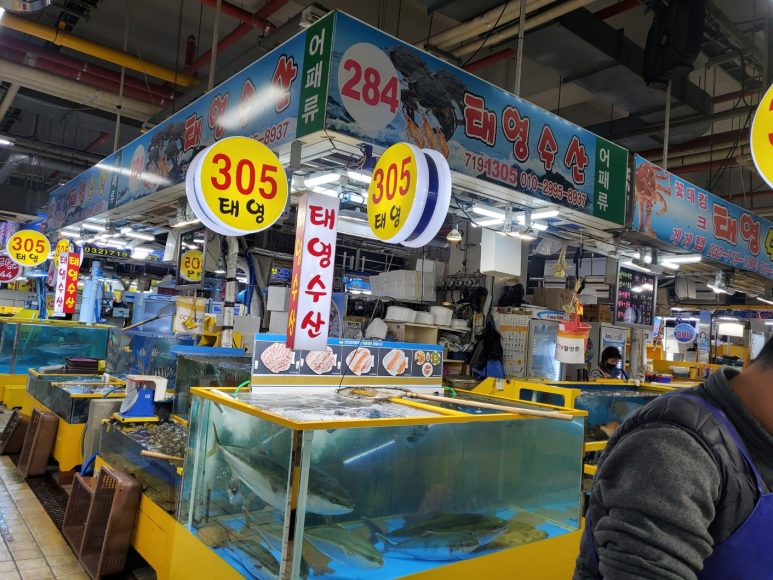 태영수산 이미지