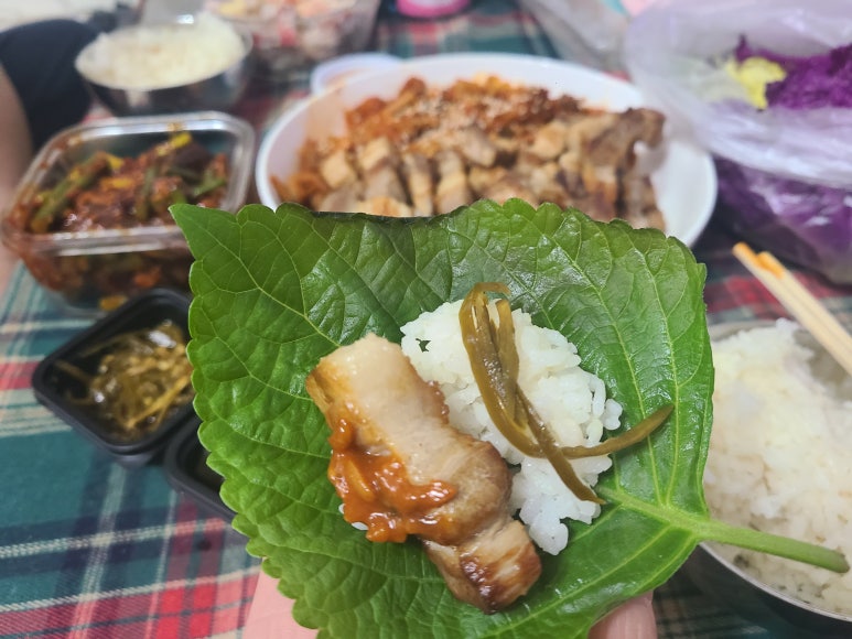쾌삼 이미지