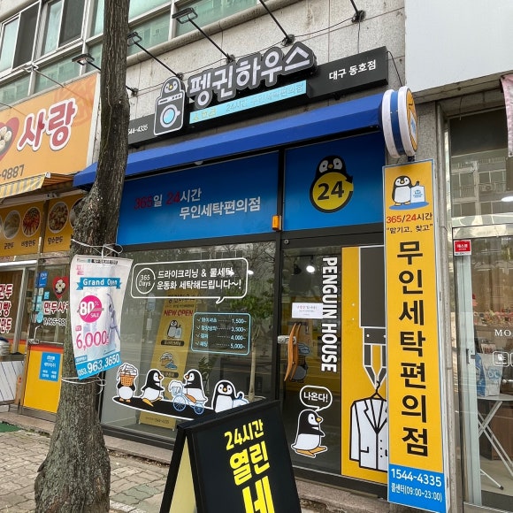 펭귄세탁 이미지