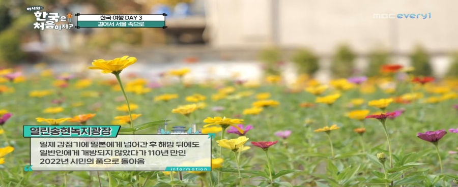 큰시장빈대떡 이미지