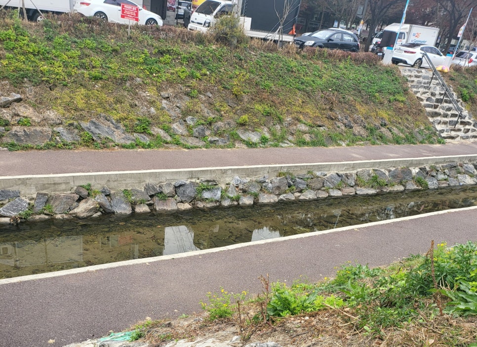 준초밥 이미지