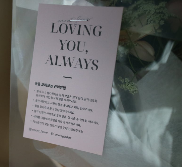 에몬뜨플라워 이미지