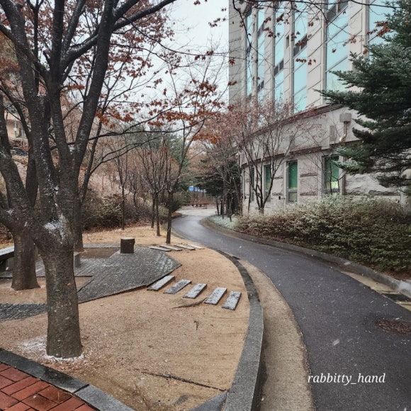 카페일루오고 이미지