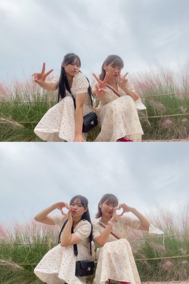 다인호프 이미지