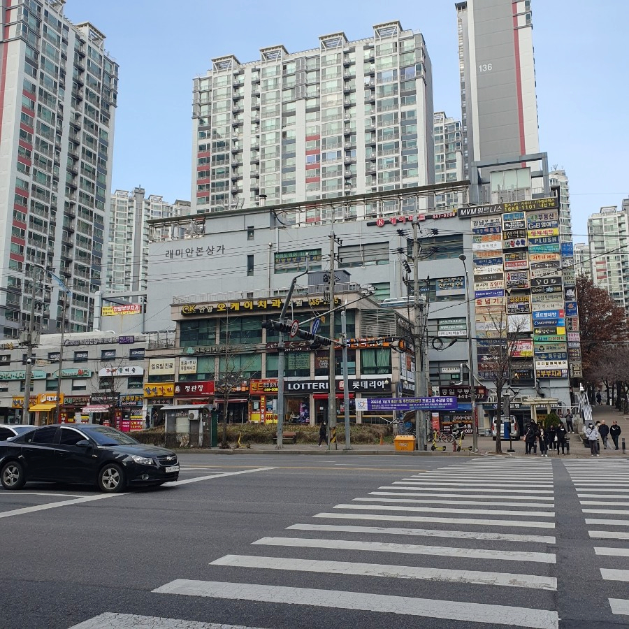 비산청과 이미지