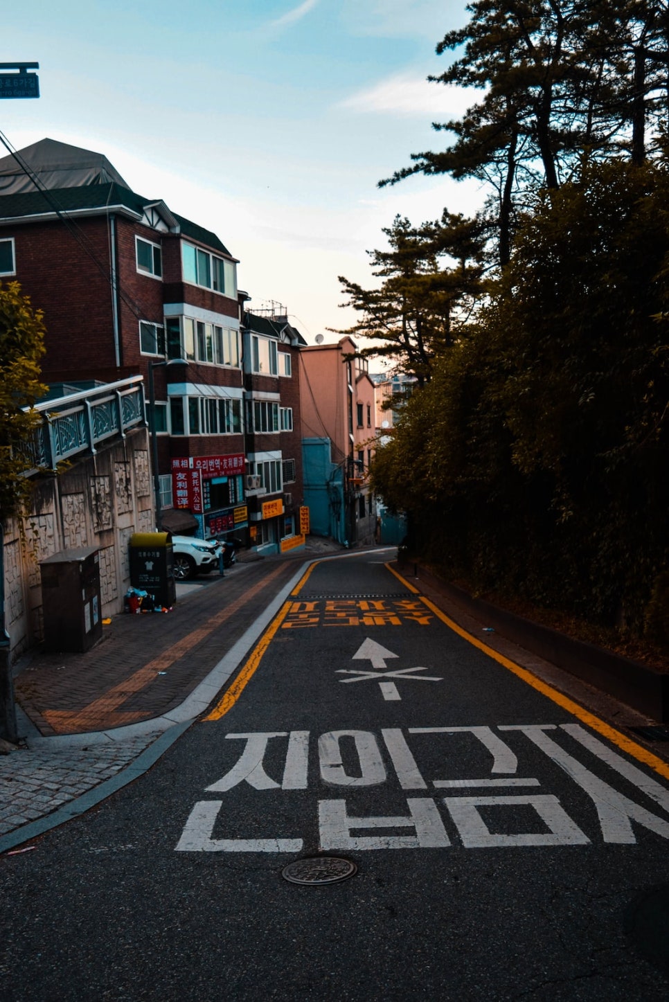 자연에서율 이미지