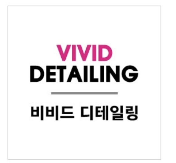 비비드디테일링 이미지
