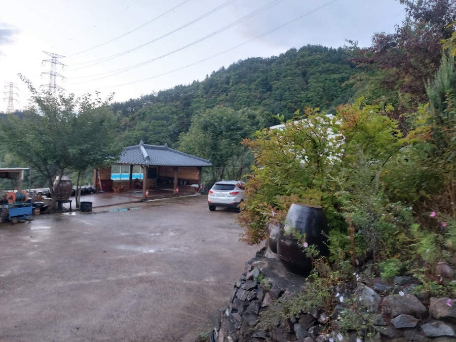 삼수령전통주 이미지