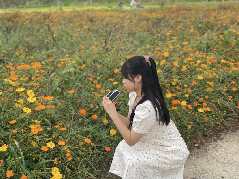 다인호프 이미지