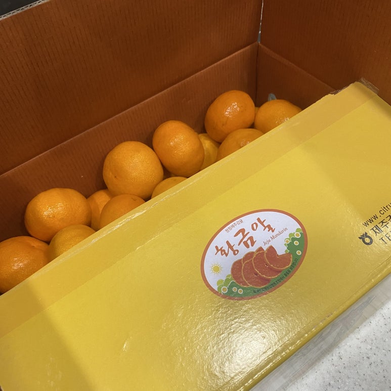 김0철 이미지