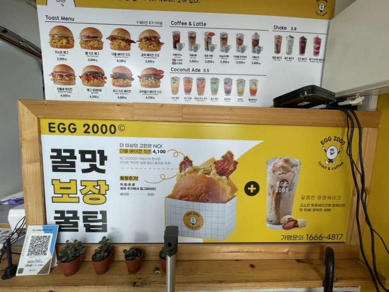 에그2000(EGG2000) 이미지