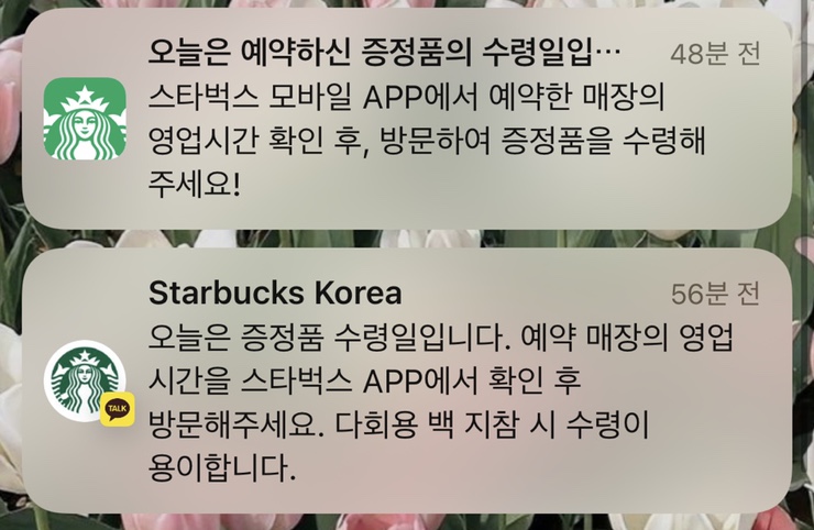 가장맛있는족발 일원점 이미지