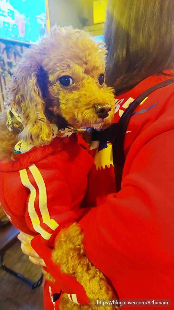 종점포차 이미지