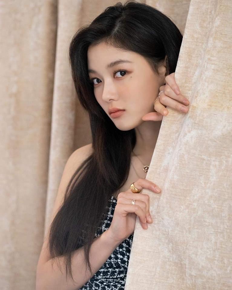 리트리버클럽 이미지