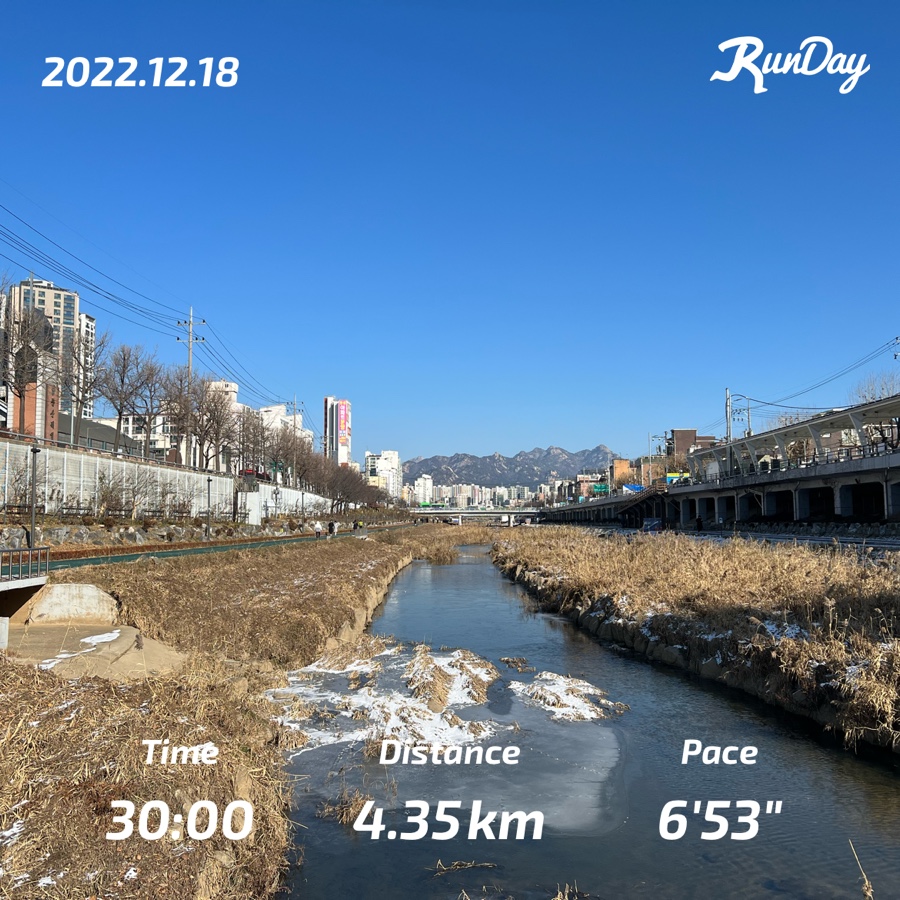 냠냠숯불두마리치킨내서 이미지