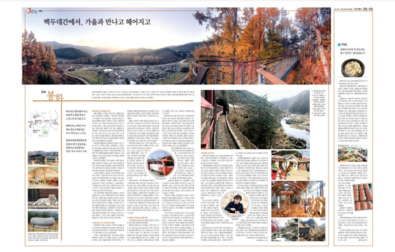 춘양목호스텔 이미지