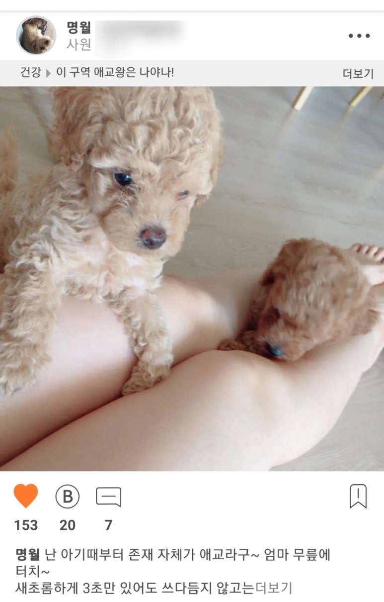 요이컴퍼니 이미지