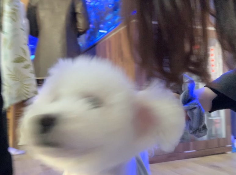 대가복집 이미지