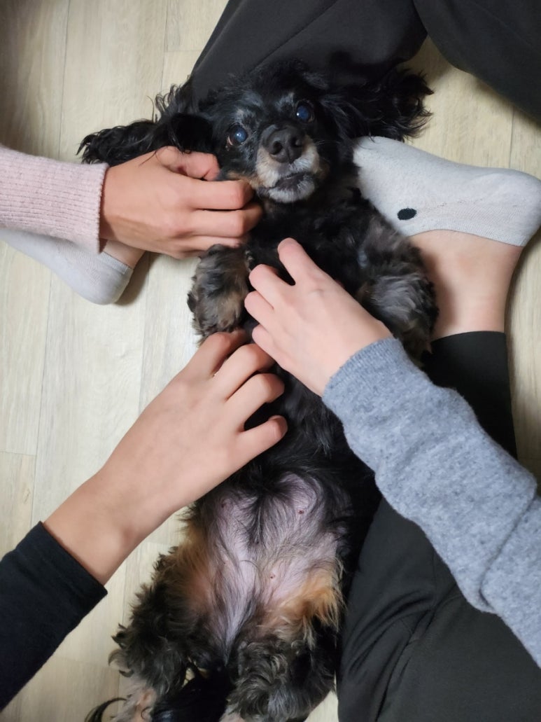 화상번가 이미지