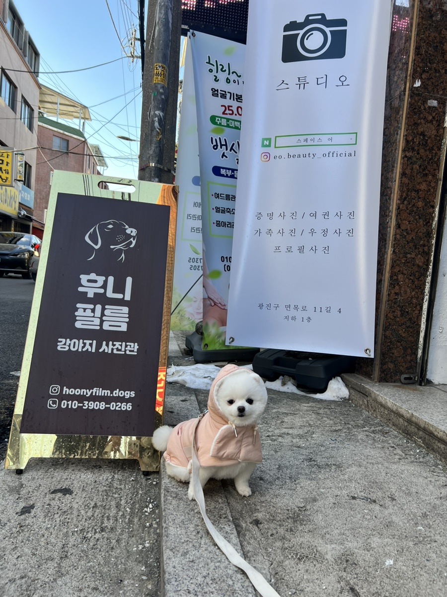 후니필름 이미지