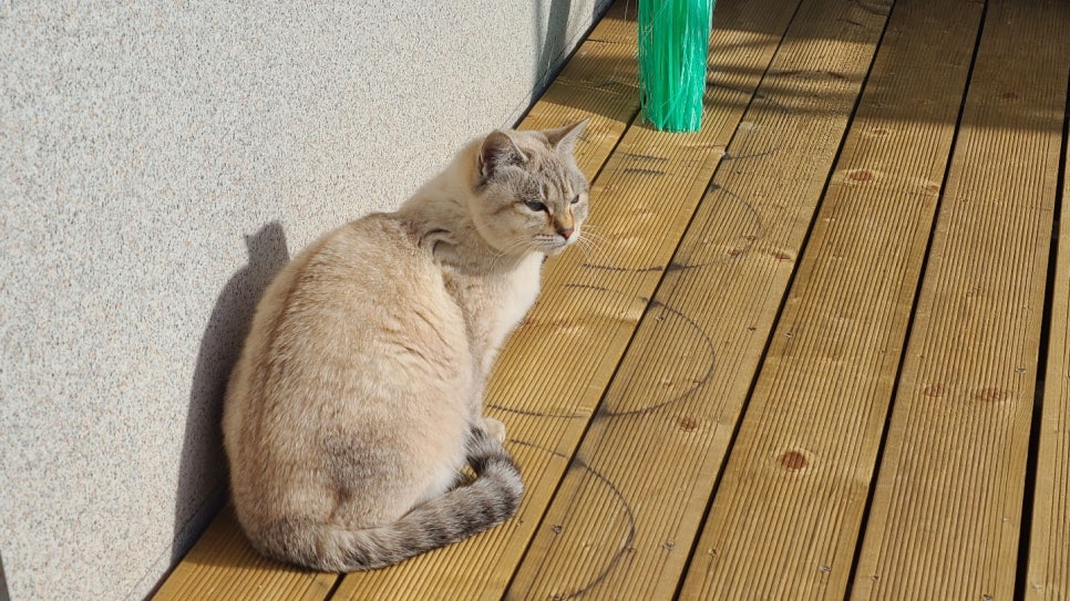 체험카페 밍글스 이미지