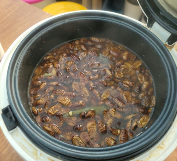 꽃단지농원 이미지