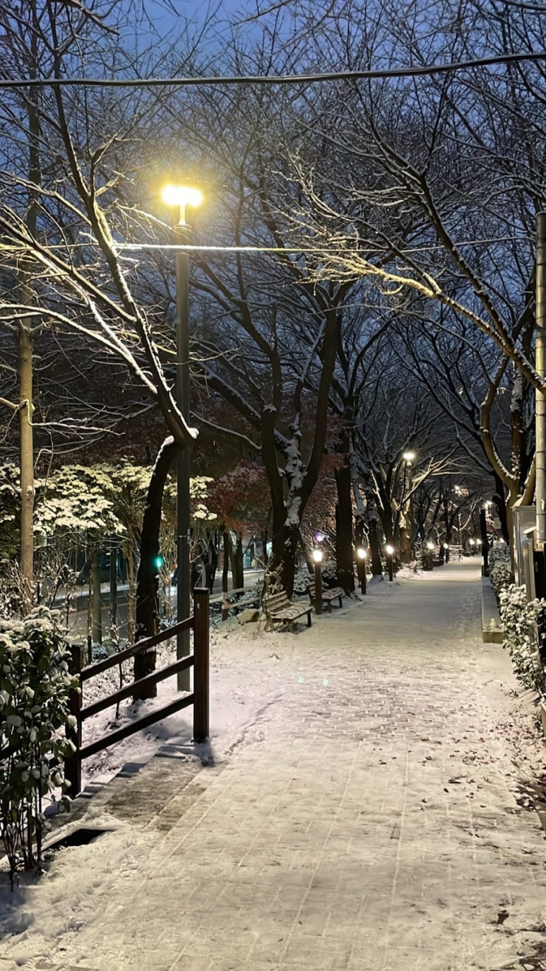 일구육이 이미지