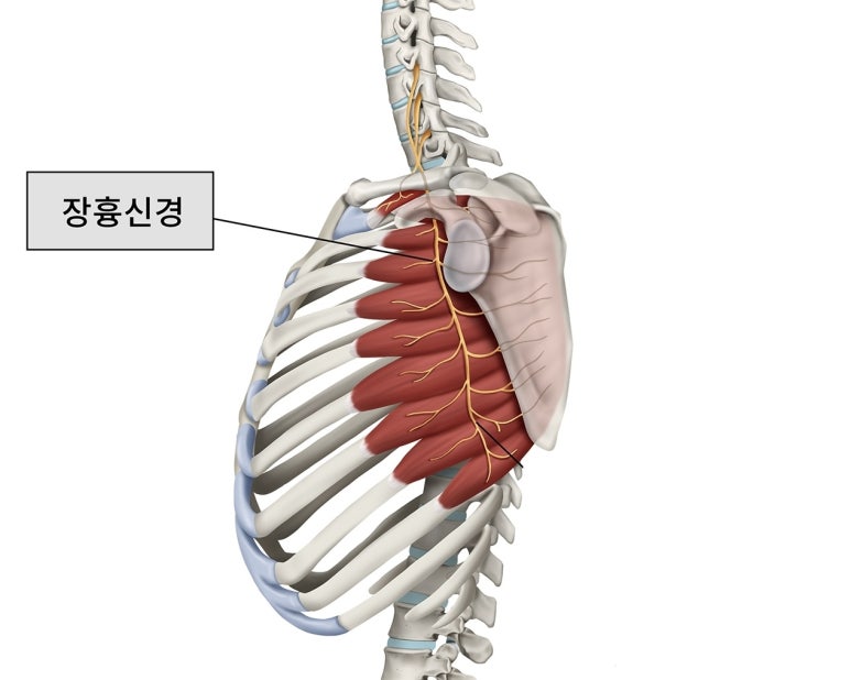 반석한의원 이미지