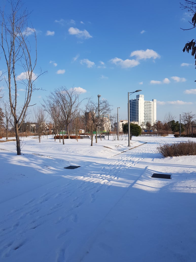 FRONT YARD(앞마당) 이미지